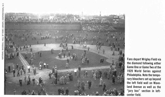 The Wrigley Field Ivy And The New Left-Field Wall - Bleed Cubbie Blue