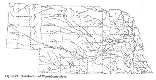 The freshwater mussels (mollusca: bivalvia: unionoida) of Nebraska -  Document - Gale Academic OneFile