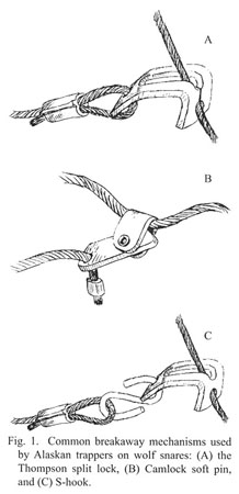 Reducing non-target moose capture in wolf snares - Document - Gale