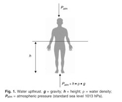 Physiological response to water immersion: a method for sport recovery? -  Document - Gale Academic OneFile