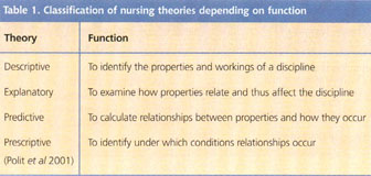 nursing theory models examples