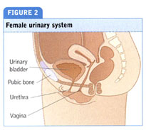 Acute urinary retention : causes , clinical features and patient