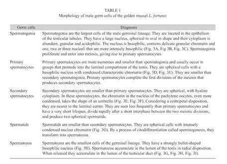 Gale Onefile Health And Medicine Document Cellular Development Of The Germinal Epithelium During The Gametogenic Cycle Of The Golden Mussel Limnoperna Fortunei Bivalvia Mytilidae