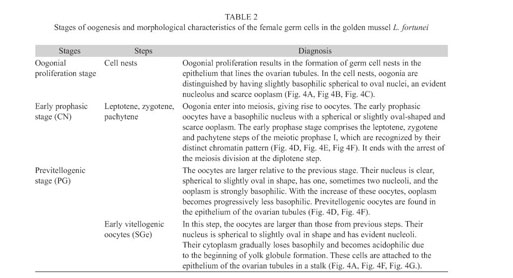 Gale Onefile Health And Medicine Document Cellular Development Of The Germinal Epithelium During The Gametogenic Cycle Of The Golden Mussel Limnoperna Fortunei Bivalvia Mytilidae