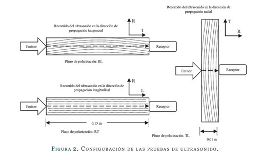 Direcciones de anisotropía de la madera, localización y