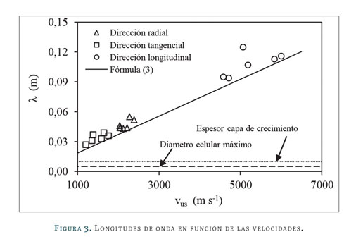 Direcciones de anisotropía de la madera, localización y