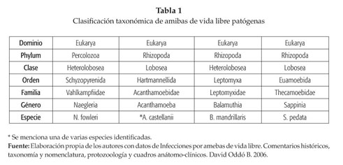 ciclo de vida de la acanthamoeba