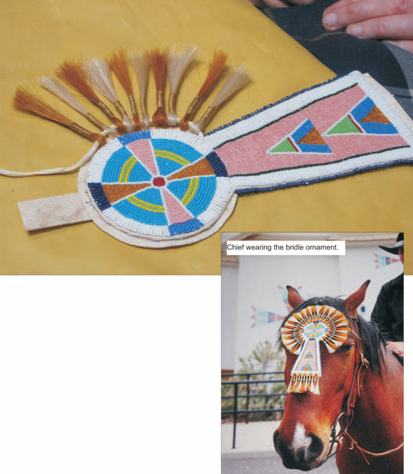 Crow style bridle ornament - Document - Gale Academic OneFile