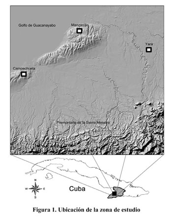 Modelación del acuífero Cuentas Claras. - Document - Gale OneFile: Informe  Académico