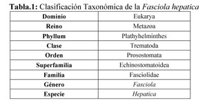 fascioliasis taxonómia hogyan nemi szemölcsök