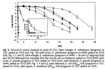 Accumulation of Mn(II) in Deinococcus radiodurans Facilitates