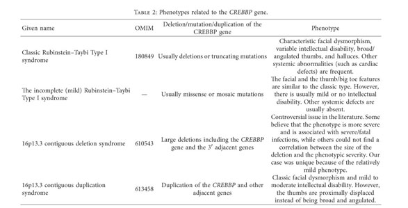 Characterization of 14 novel deletions underlying Rubinstein–Taybi  syndrome: an update of the CREBBP deletion repertoire