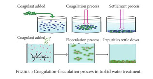 Investigation Of Coagulation Activity Of Cactus Powder In Water Treatment Document Gale Academic Onefile