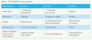 Gale Academic Onefile Document How To Teach The Apgar Score New Zealand S Christchurch Women S Hospital Consultant Neonatologist Maggie Meeks Describes The Apgar Score