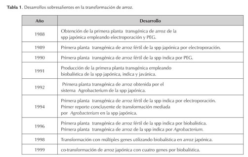 Gale Onefile Informe Academico Document Metodos Y Usos