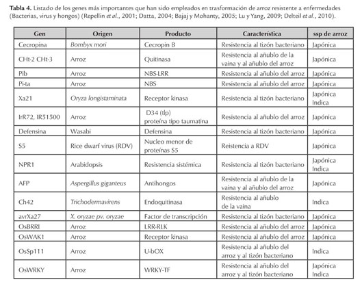 Gale Onefile Informe Academico Document Metodos Y Usos