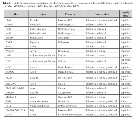 Gale Onefile Informe Academico Document Metodos Y Usos