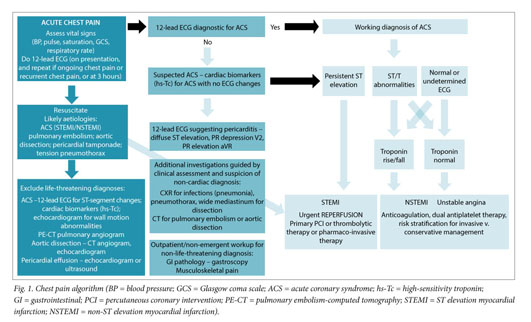 Gale Academic Onefile Document Approach To Chest Pain And Acute Myocardial Infarction