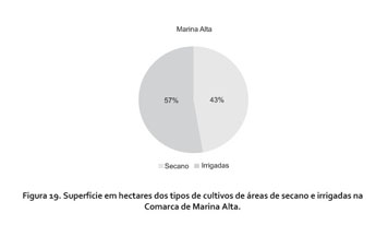 AVANÇOS NO SISTEMA PRODUTIVO DA MANGUEIRA EM SÃO PAULO OBJETIVANDO