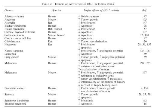 The different functions and clinical significances of caveolin-1 in human  adenocarcinoma and squamous cell carcinoma - Document - Gale OneFile:  Health and Medicine