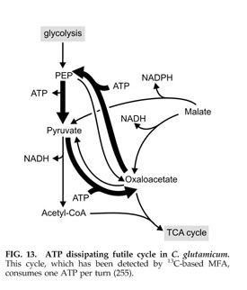 Redox biocatalysis and metabolism: molecular mechanisms and 