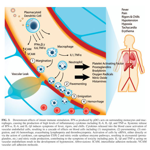 Gale Onefile Health And Medicine Document Overcoming The Innate Immune Response To Small Interfering Rna