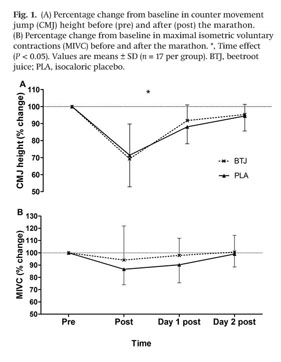 Minimal muscle damage after a marathon and no influence of 