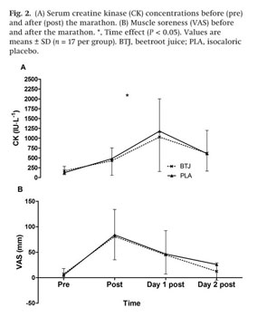 Minimal muscle damage after a marathon and no influence of 