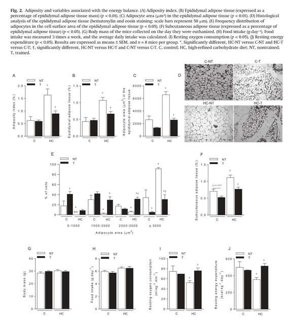 Gale Academic Onefile Document Aerobic Training Reduces Immune Cell Recruitment And Cytokine Levels In Adipose Tissue In Obese Mice