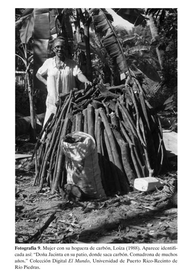El CARBÓN VEGETAL o picón. Transformación tradicional de madera en carbón  en 1991, Documental
