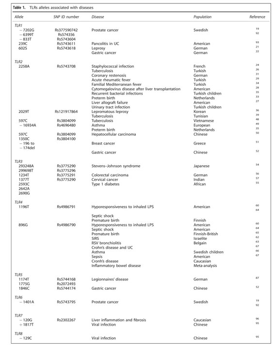 Relevance of single-nucleotide polymorphisms in human TLR genes to 