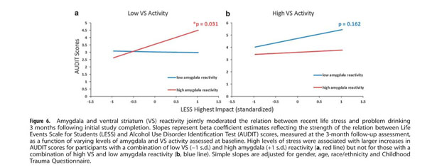 Higher trait neuroticism is associated with greater fatty acid amide  hydrolase binding in borderline and antisocial personality disorders