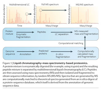 Multidimensional LC Separations in Shotgun Proteomics