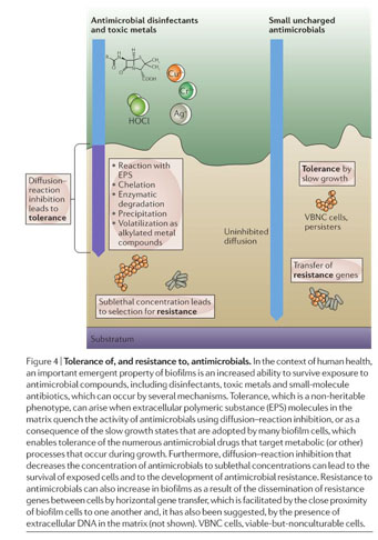 Gale Onefile Health And Medicine Document Biofilms An Emergent Form Of Bacterial Life