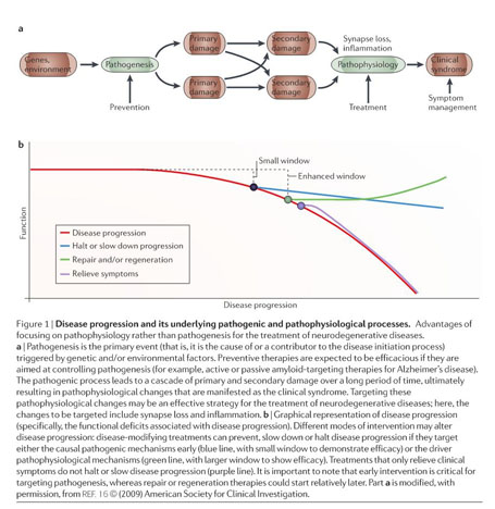 BDNF-based synaptic repair as a disease-modifying strategy for 