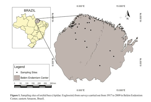 Ciência para todos - Nº. 03 by Instituto Nacional de Pesquisas da Amazônia  - INPA - Issuu