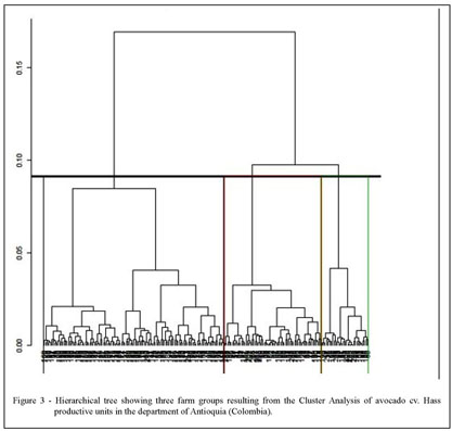 Socio-economic and technological typology of avocado cv. Hass 