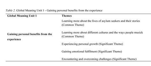 Themes and identified meaning-units