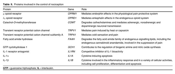 Pharmacology of morphine in obese patients: clinical implications -  Document - Gale OneFile: Health and Medicine