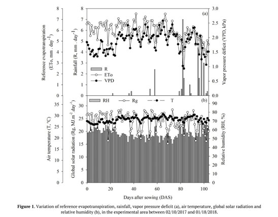 Gale Onefile Informe Academico Document Agronomic Characteristics Of The Pennisetum Glaucum Submitted To Water And Saline Stresses