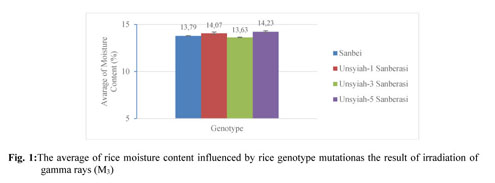 Physicochemical study and organoleptic of Acehu0027s local rice (Oryza 