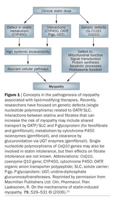 PDF) Statins, Fibrates and Myopathy: Pathophysiological Mechanism, Risk  Factors and Laboratory Markers