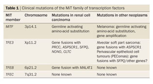 Molecular Genetics And Cellular Features Of Tfe3 And Tfeb Fusion Kidney Cancers Document Gale Onefile Health And Medicine