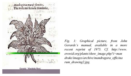 Harry Potter on Instagram: Mandrake,or Mandragora is a powerful resorative  said Hermione,sounding as usual as though she had swallowed the textbook.  'It is used to return people who have been transfigured or