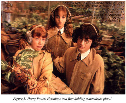 File:The Making of Harry Potter 29-05-2012 (Mandrake).jpg - Wikipedia