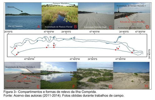 Vegetação de altitude (07/08/2015) 