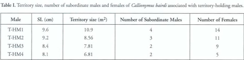 Social structure and reproductive behavior of the callionymid fish