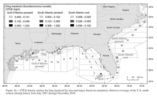 Porgy, Knobbed - South Atlantic Fishery Management Council