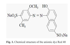 Characterization of the degradation products from the red dye 40