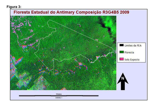 Com extrativismo sustentável, povos da floresta resistem ao desmatamento